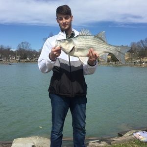 Meet your Posher, Alec